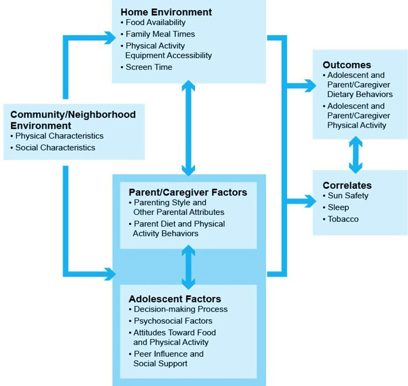 This model is guided by ecological and behavioral psychosocial frameworks and theories