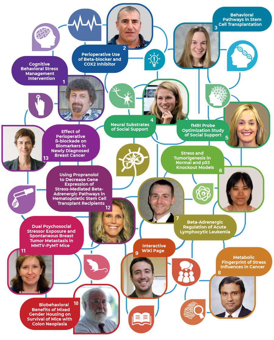 Chart of projects for Biohehavioral Pathways in Cancer